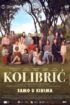 Kolibrić