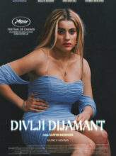 Divlji dijamant