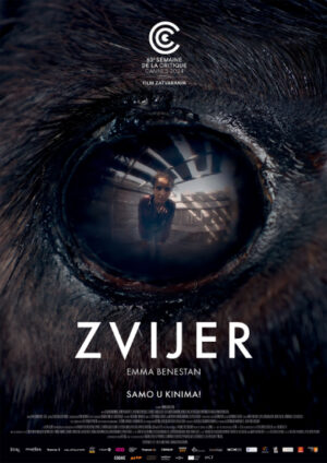 Zvijer