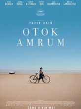 Otok Amrum