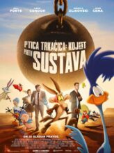 Ptica trkačica: Kojot protiv Sustava
