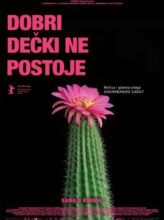 Dobri dečki ne postoje