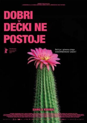Dobri dečki ne postoje